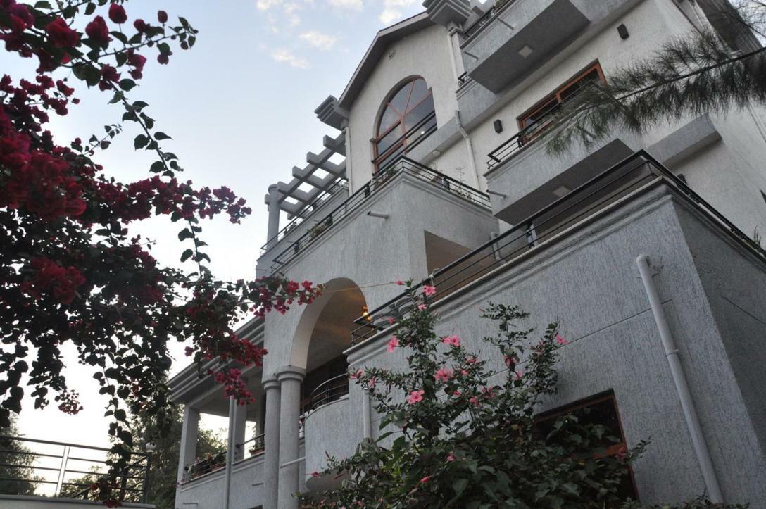 Inn Of The Four Sisters Gonder Zewnętrze zdjęcie